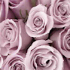 Meet your Posher, Ericka